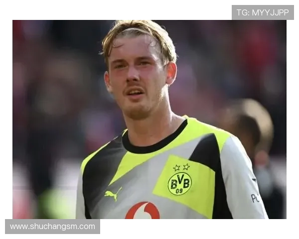 布兰特回应外界批评表示不需同情 强调与多特教练关系良好